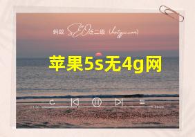 苹果5s无4g网