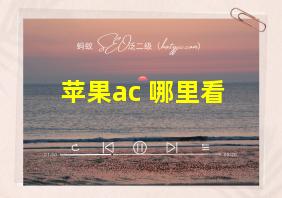 苹果ac+哪里看