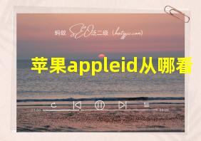 苹果appleid从哪看