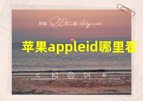 苹果appleid哪里看