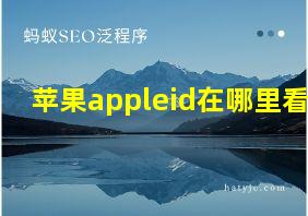 苹果appleid在哪里看