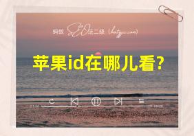 苹果id在哪儿看?