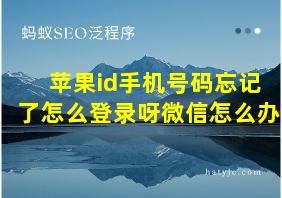 苹果id手机号码忘记了怎么登录呀微信怎么办