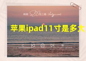 苹果ipad11寸是多大