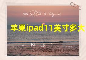 苹果ipad11英寸多大