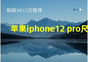 苹果iphone12 pro尺寸