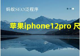 苹果iphone12pro 尺寸