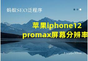 苹果iphone12promax屏幕分辨率