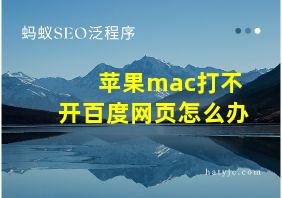 苹果mac打不开百度网页怎么办