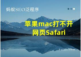 苹果mac打不开网页Safari