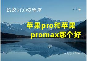 苹果pro和苹果promax哪个好