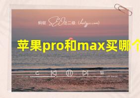 苹果pro和max买哪个