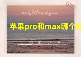 苹果pro和max哪个好