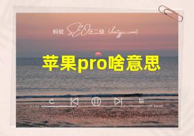 苹果pro啥意思