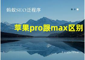 苹果pro跟max区别