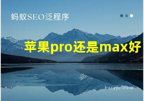 苹果pro还是max好