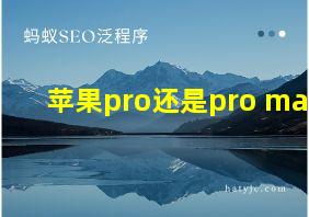 苹果pro还是pro max