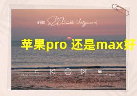 苹果pro 还是max好