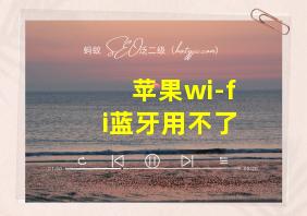 苹果wi-fi蓝牙用不了