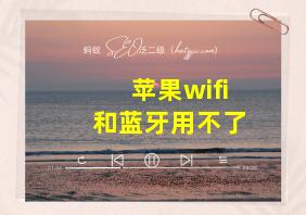 苹果wifi和蓝牙用不了