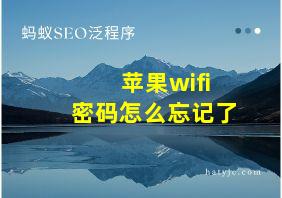 苹果wifi密码怎么忘记了