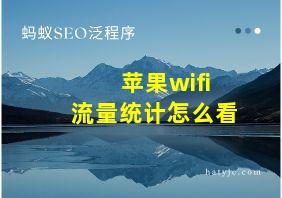 苹果wifi流量统计怎么看