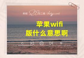 苹果wifi版什么意思啊