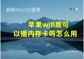 苹果wifi版可以插内存卡吗怎么用