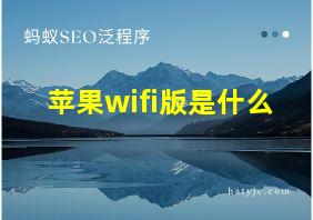 苹果wifi版是什么