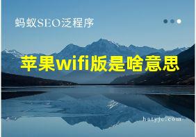 苹果wifi版是啥意思