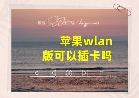 苹果wlan版可以插卡吗