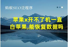 苹果x开不了机一直白苹果,能恢复数据吗