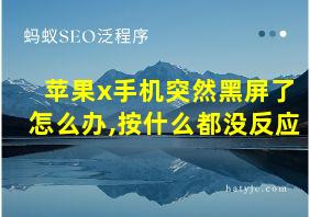 苹果x手机突然黑屏了怎么办,按什么都没反应