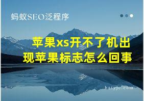 苹果xs开不了机出现苹果标志怎么回事