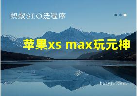 苹果xs max玩元神