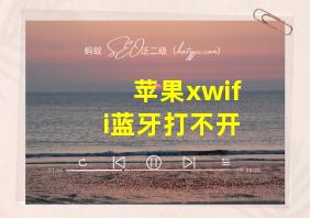 苹果xwifi蓝牙打不开