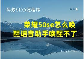 荣耀50se怎么唤醒语音助手唤醒不了