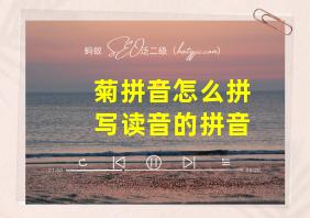 菊拼音怎么拼写读音的拼音