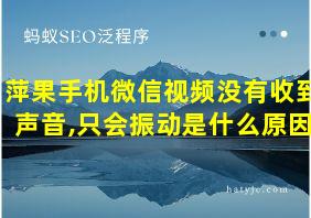 萍果手机微信视频没有收到声音,只会振动是什么原因