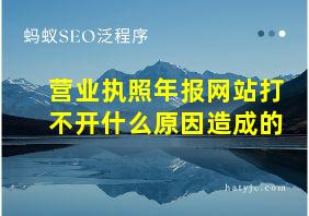 营业执照年报网站打不开什么原因造成的