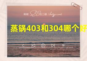 蒸锅403和304哪个好