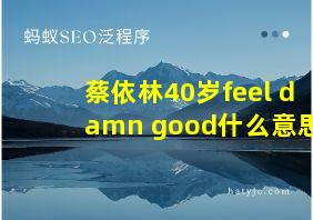 蔡依林40岁feel damn good什么意思