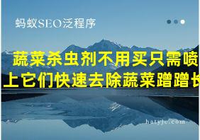 蔬菜杀虫剂不用买只需喷上它们快速去除蔬菜蹭蹭长