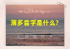 薄多音字是什么?