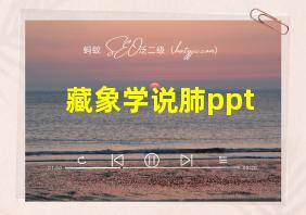 藏象学说肺ppt