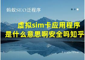 虚拟sim卡应用程序是什么意思啊安全吗知乎