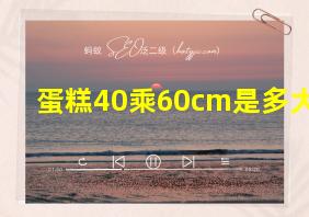 蛋糕40乘60cm是多大