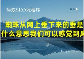 蜘蛛从网上垂下来的垂是什么意思我们可以感觉到风