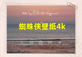 蜘蛛侠壁纸4k