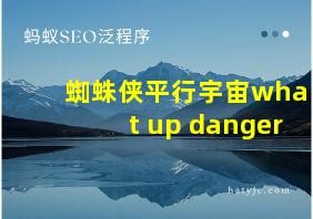 蜘蛛侠平行宇宙what up danger